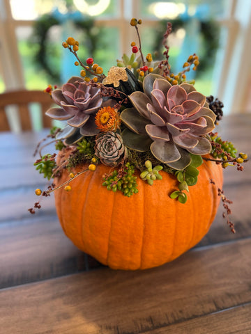 succulent pumpkin centerpiece chester county pa