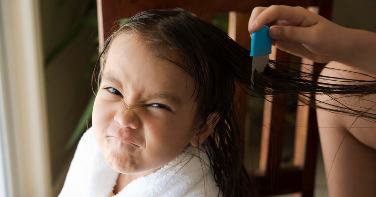 A young girl having her hear combed out with a natural lice treatment.