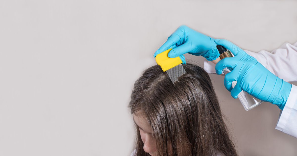 A professional lice remover combing out lice from a girl's long hair.