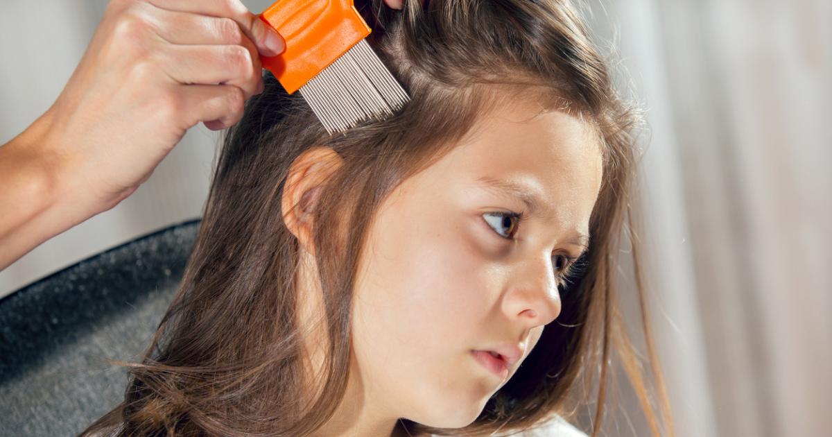 A young girl having her hair wet combed to check for lice and nits (lice eggs).