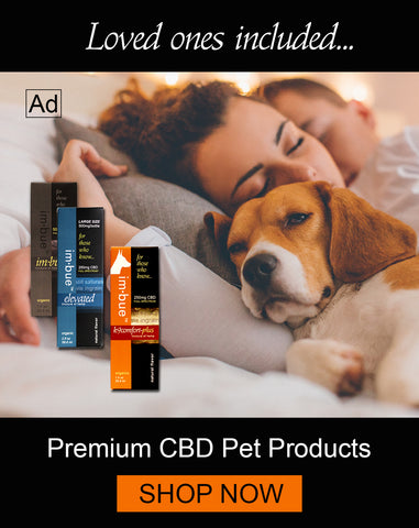 Buy CBD Pet Products