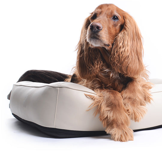 spring dog bed faux leather