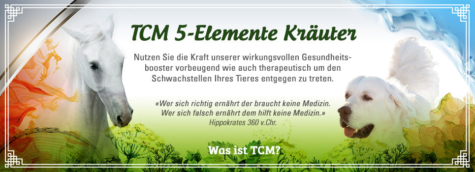 TCM Linie