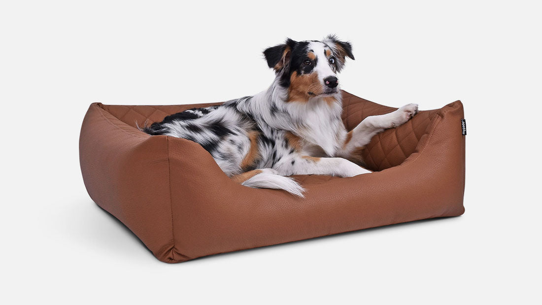 desc-hundebett-worldcollection-select-gesteppt-02