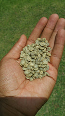Why is Blue Mountain Coffee so good and cost so much?