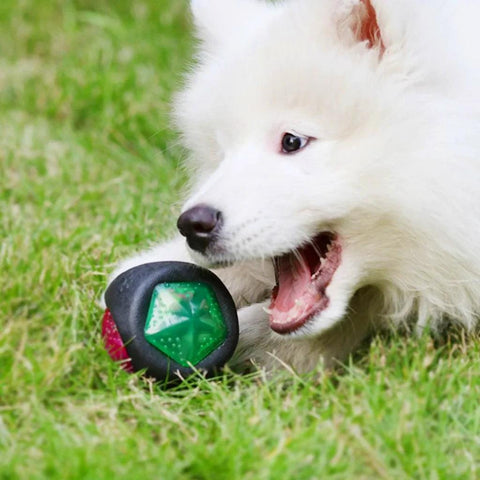 Bola de Borracha com LED e Som para Pets - Estilo.e