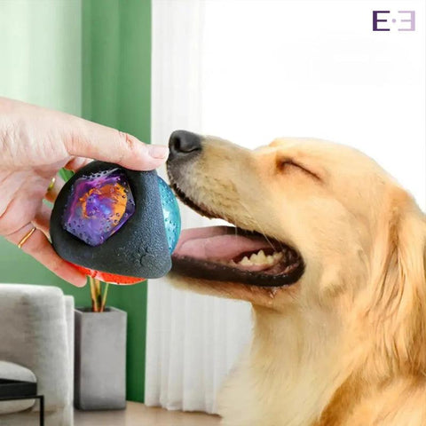 Bola de Borracha com LED e Som para Pets - Estilo.e