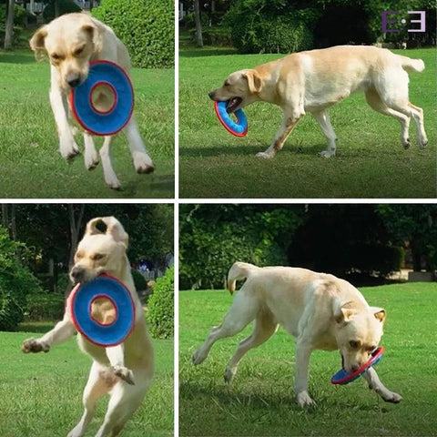 Brinquedo Frisbee Voador Multiuso para Cães - Estilo.e
