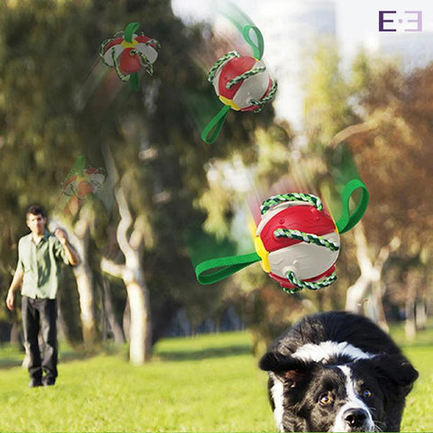 Brinquedo Interativo Bola Frisbee para Cães - Estilo.e