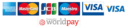 Payments Processes by Worldpay