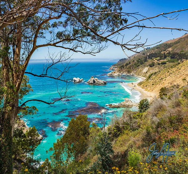 Breathtaking view of Big Sur coastline with turquoise waters, rugged cliffs, and a eucalyptus tree framing the scenic California seascape.