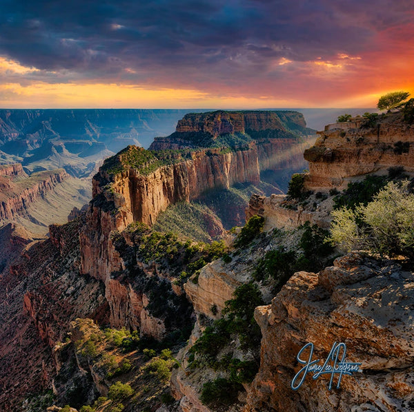 Sunset hues paint the sky over Cape Royal in the Grand Canyon, showcasing majestic cliffs and deep valleys in this stunning landscape artwork.