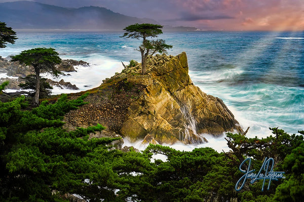 A solitary Cypress tree stands resolute on a rugged cliff above the tumultuous ocean, captured with vibrant colors and dynamic textures that evoke a sense of enduring beauty and natural splendor.