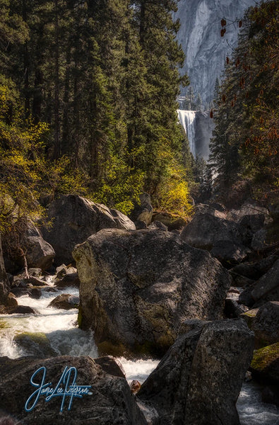 A view through a verdant forest to the majestic Vernal Falls, its powerful cascade framed by rocky terrain and the tranquil beauty of Yosemite, invoking the raw essence of untouched wilderness.
