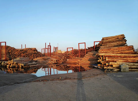 stacks of cut down trees to make lumber