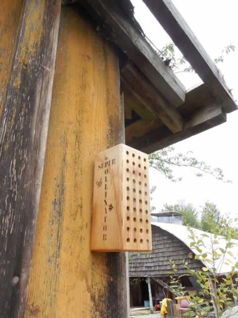 Uncle Harry's Greenhouse- Bee house