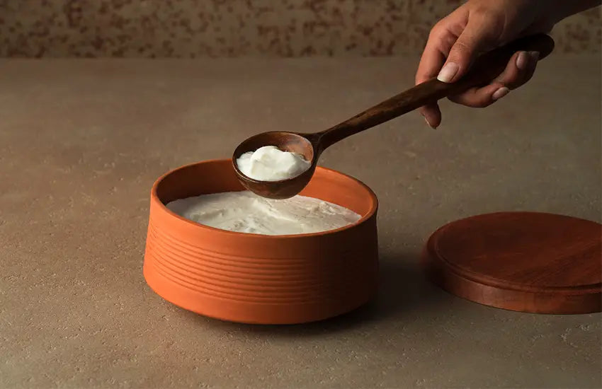 Terracotta Curd Setter