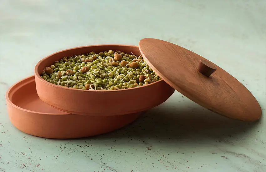 Terracotta Sprouting Dish