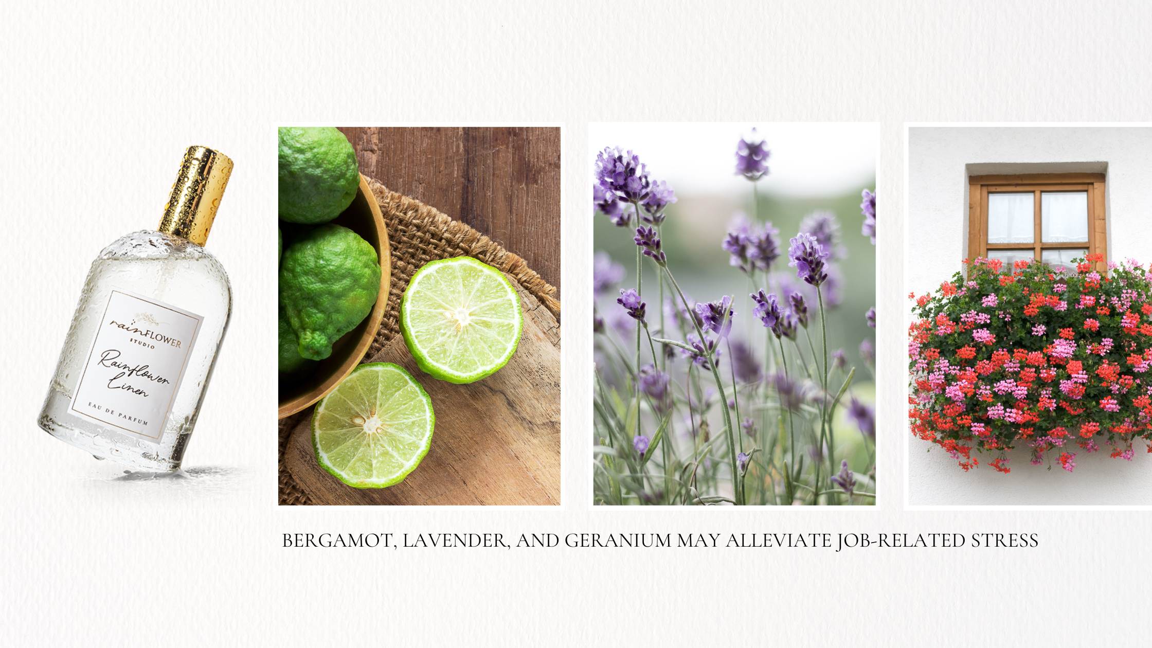 bergamot, lavender, and geranium may alleviate job-related stress