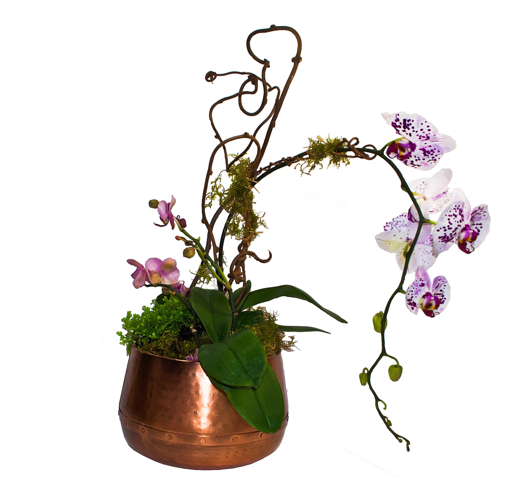 ~Aloha~ Orchid Planter