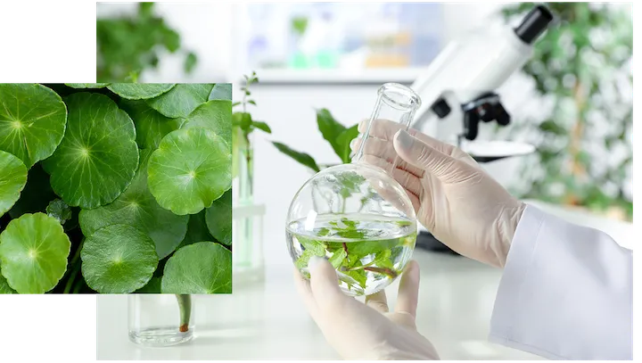 research_lab