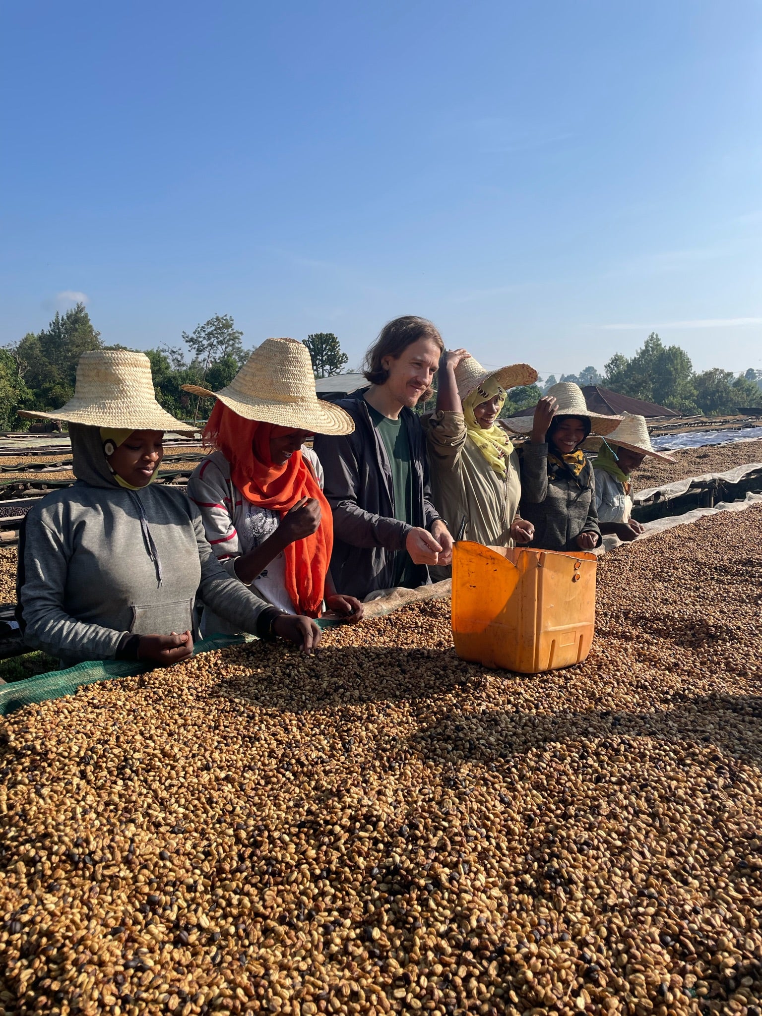 Garreth drying coffee beans on drying beds