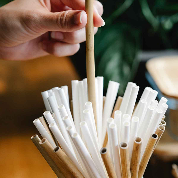 Prodotti in bambù
