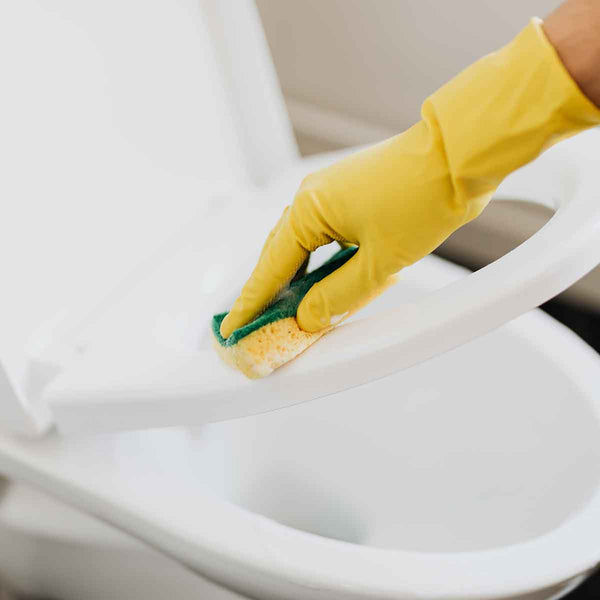 Non usare la toilette come bidone della spazzatura