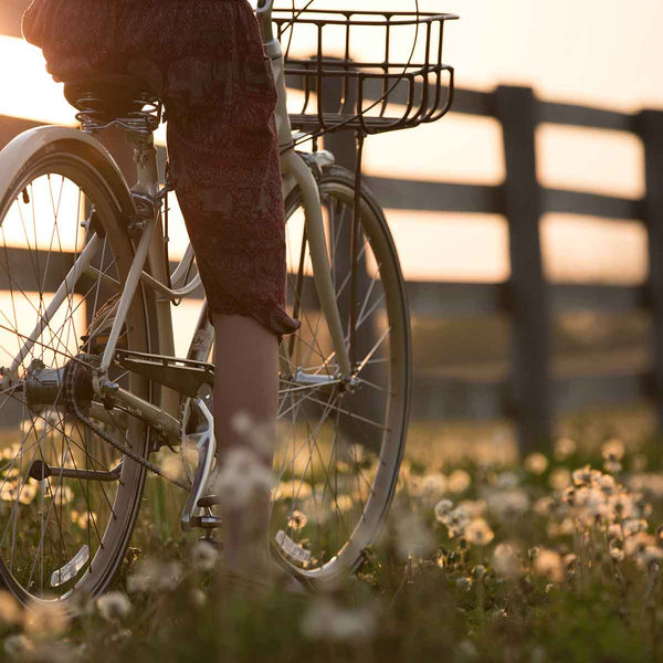 Hiking, Biking, Or Car Sharing