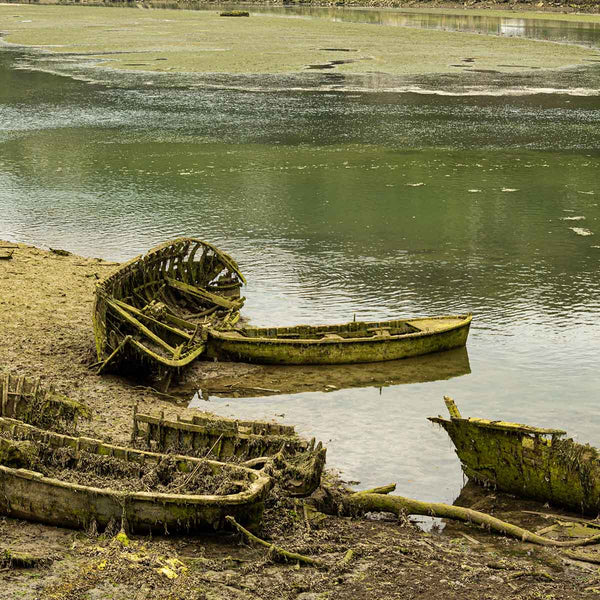 pollution de l'eau