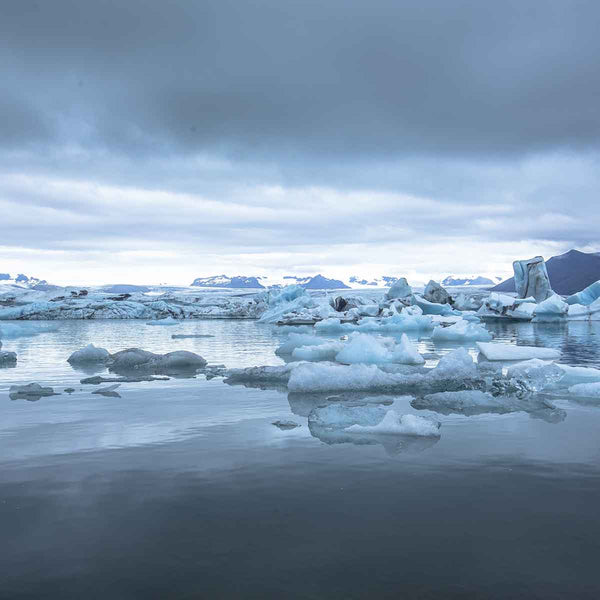 Buzulların Erimesi Neden Tehlikelidir?