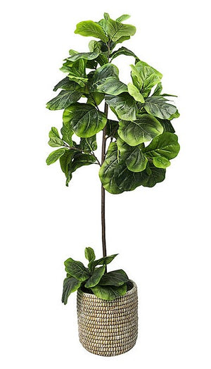 Faux 5' Fig Floor Plant - 104334