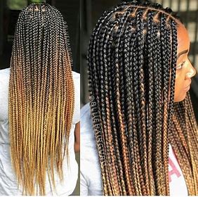 Ombre Small Knotless Braids