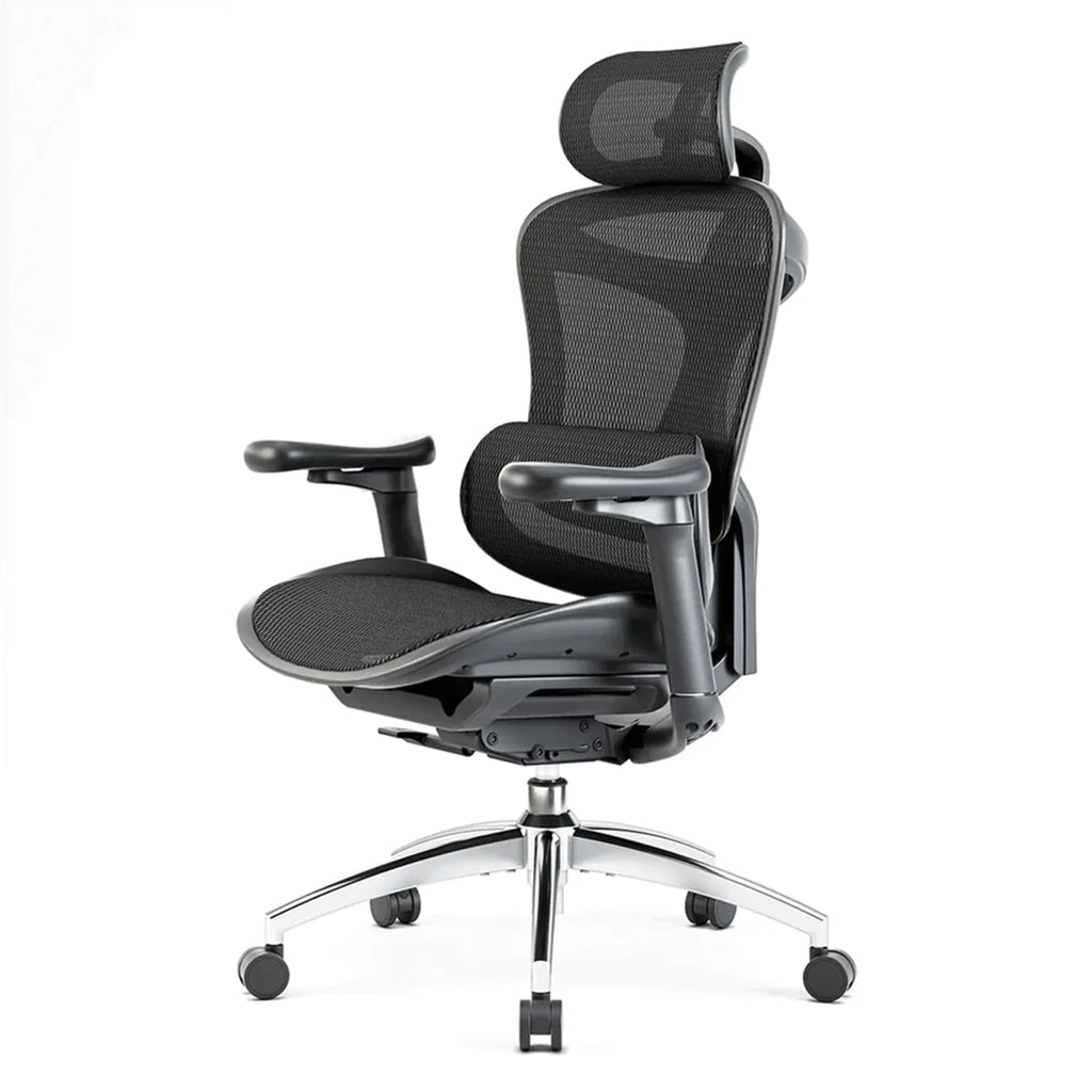 ErgoComfy Office Chair