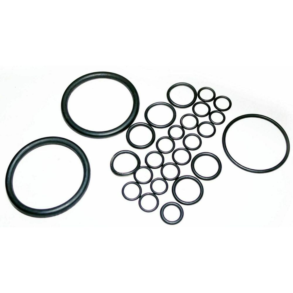 Wear Resistance PU O Ring/PTFE O Ring Seal/PU O-Ring