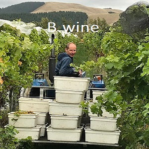 B.wine