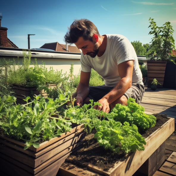 Kräuter anpflanzen auf Terrasse