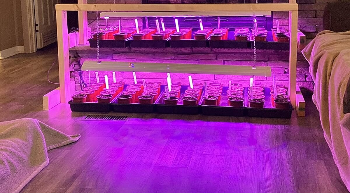 antlux led grow lights