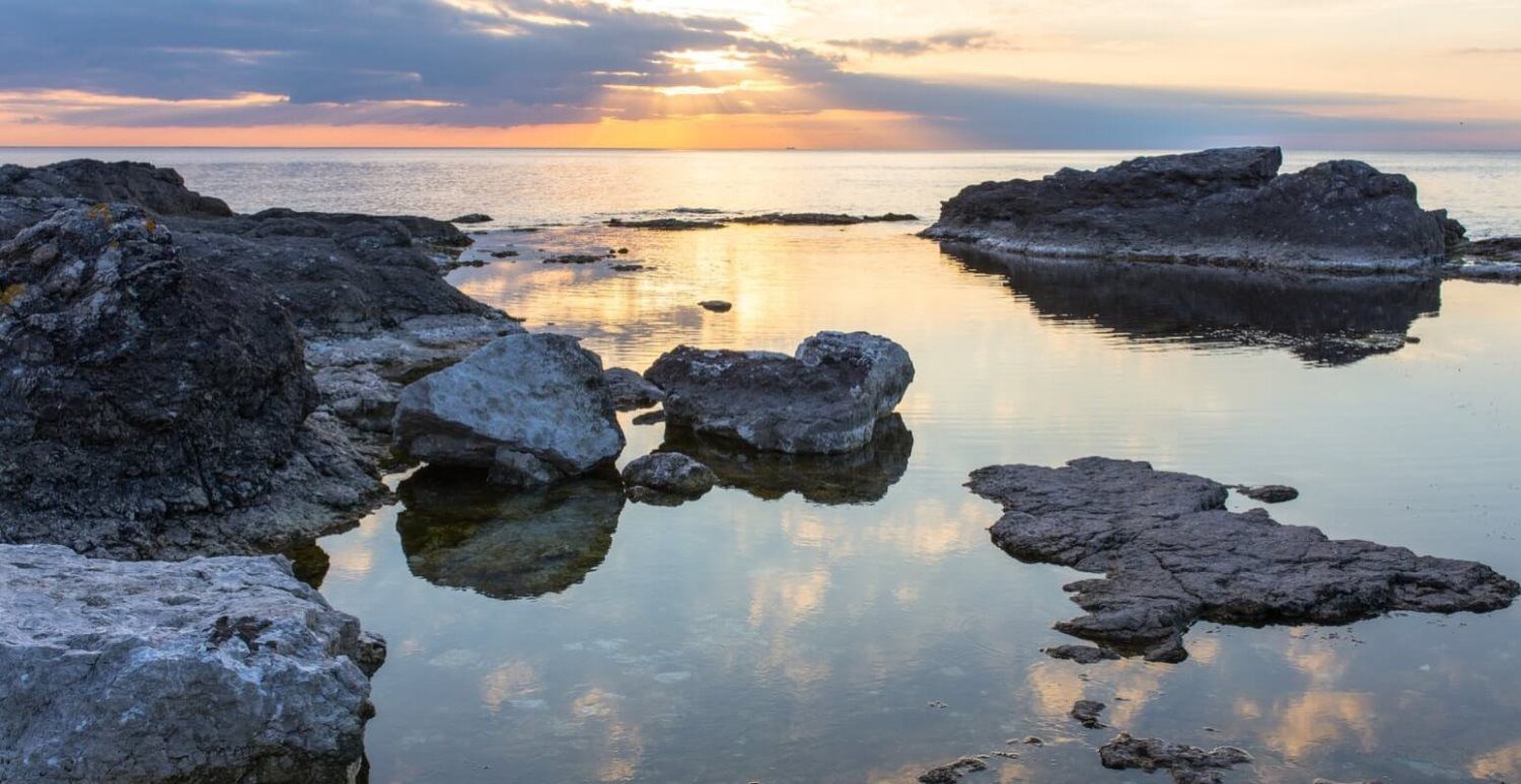 Tide Pool