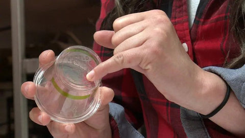 It might look like plastic, but this container is a plant-based material designed to break down as compost. (Helen Pike/CBC)