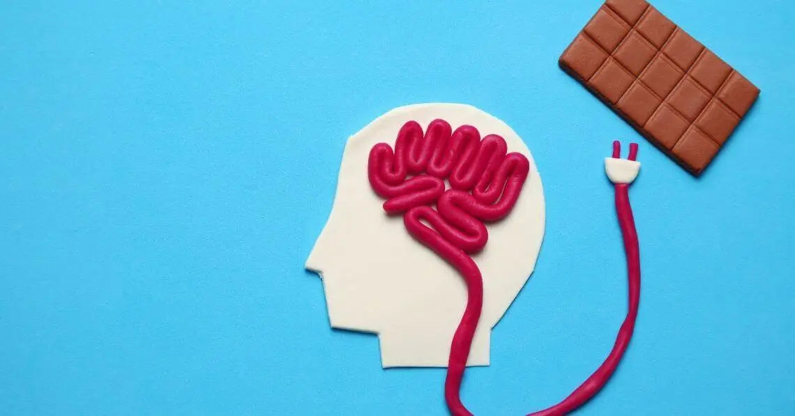 brain and chocolate connection conceptual image