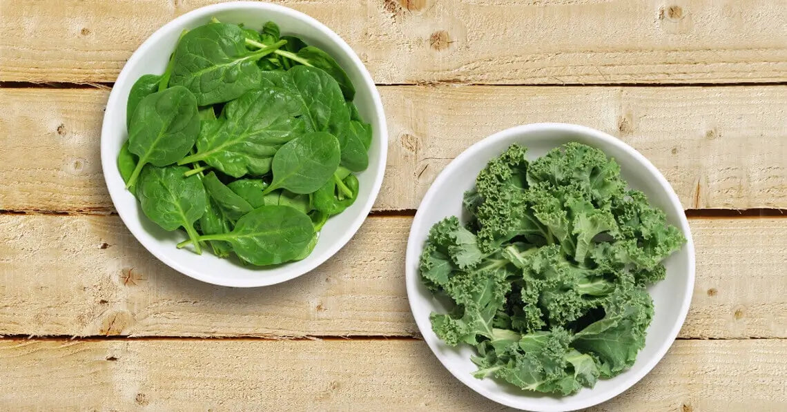 fresh baby spinach and fresh kale in white bowls on a wooden table