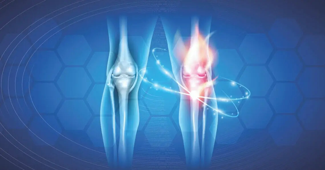 human knees digital render
