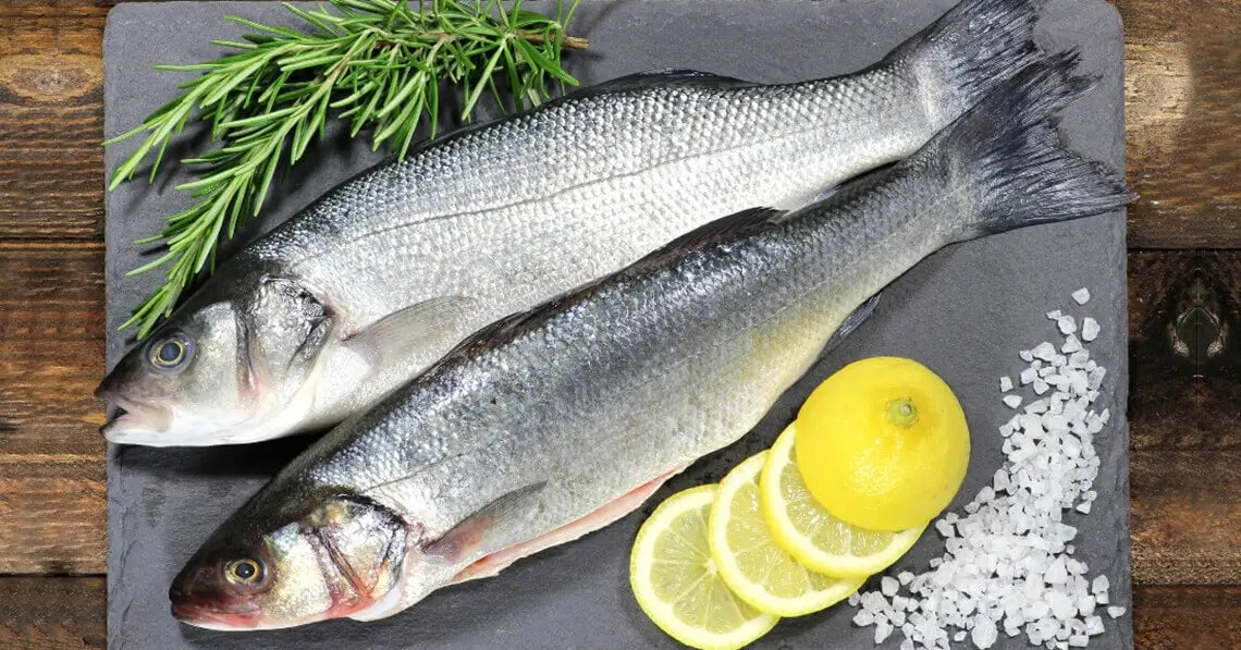 two fresh seabass