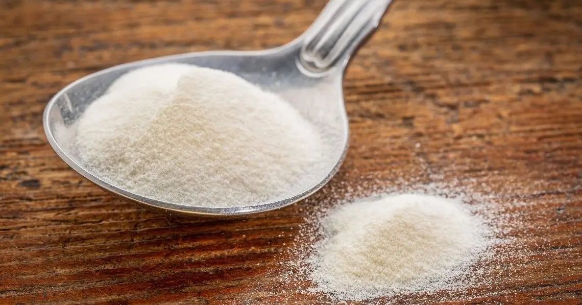 close-up of collagen powder in a spoon