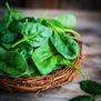 spinach.png__PID:9a5b630f-529f-4ff6-860a-e8155ce403e3