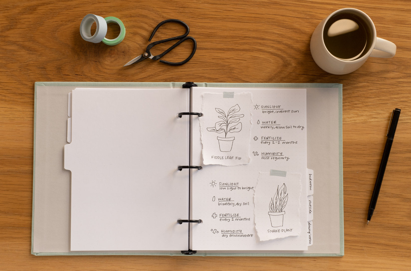 The Compact Binder lies open on a wood desk. The right-hand side of the dot-grid pages show sketched images of house plants and a plant-tracker. Tape shears, and a pen, and a cup of coffee are strewn across the image.