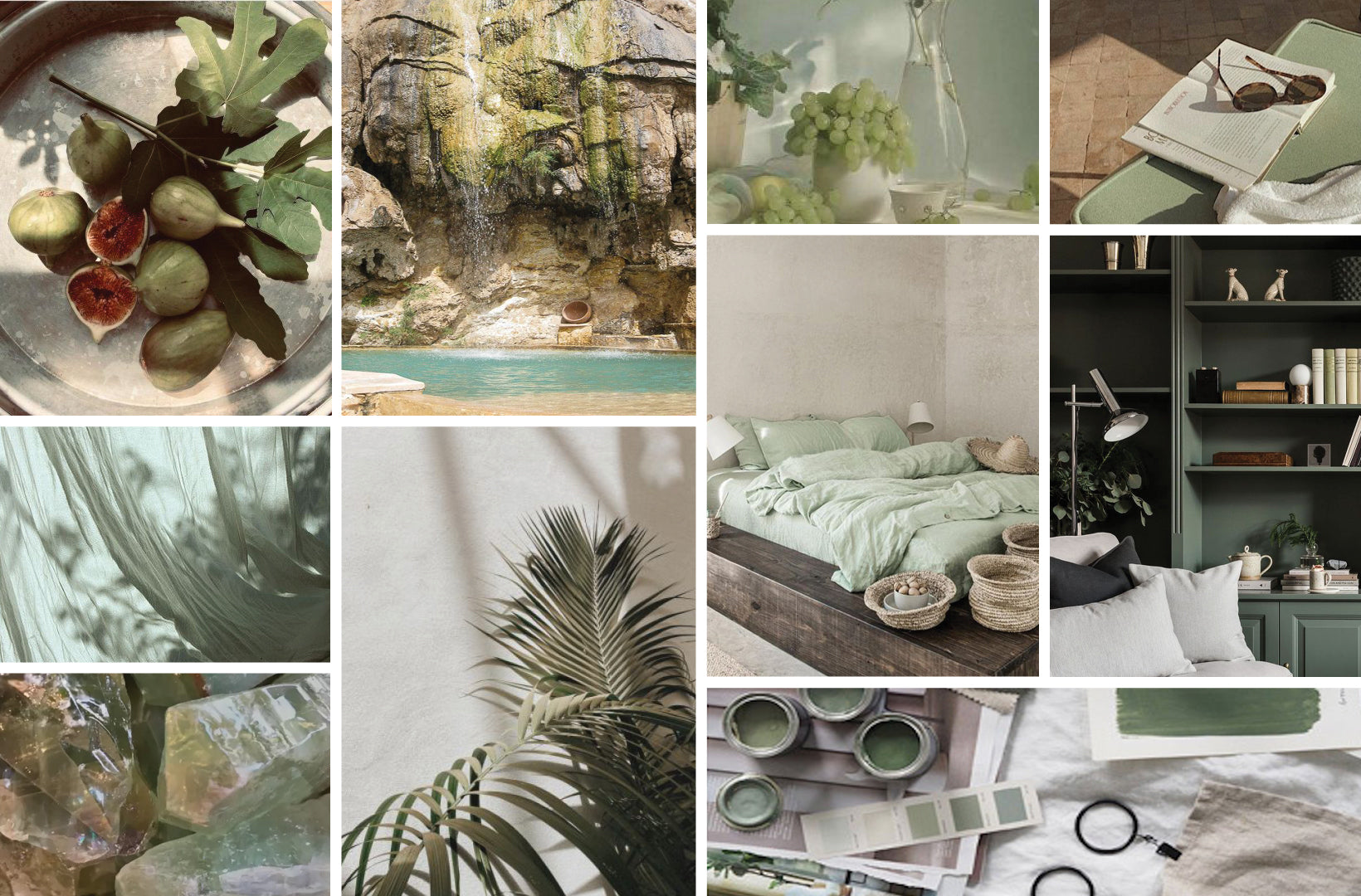 A collage of inspo-images show natural scenes like palm leaves, fresh fruit, and linen gauze in shades of light green