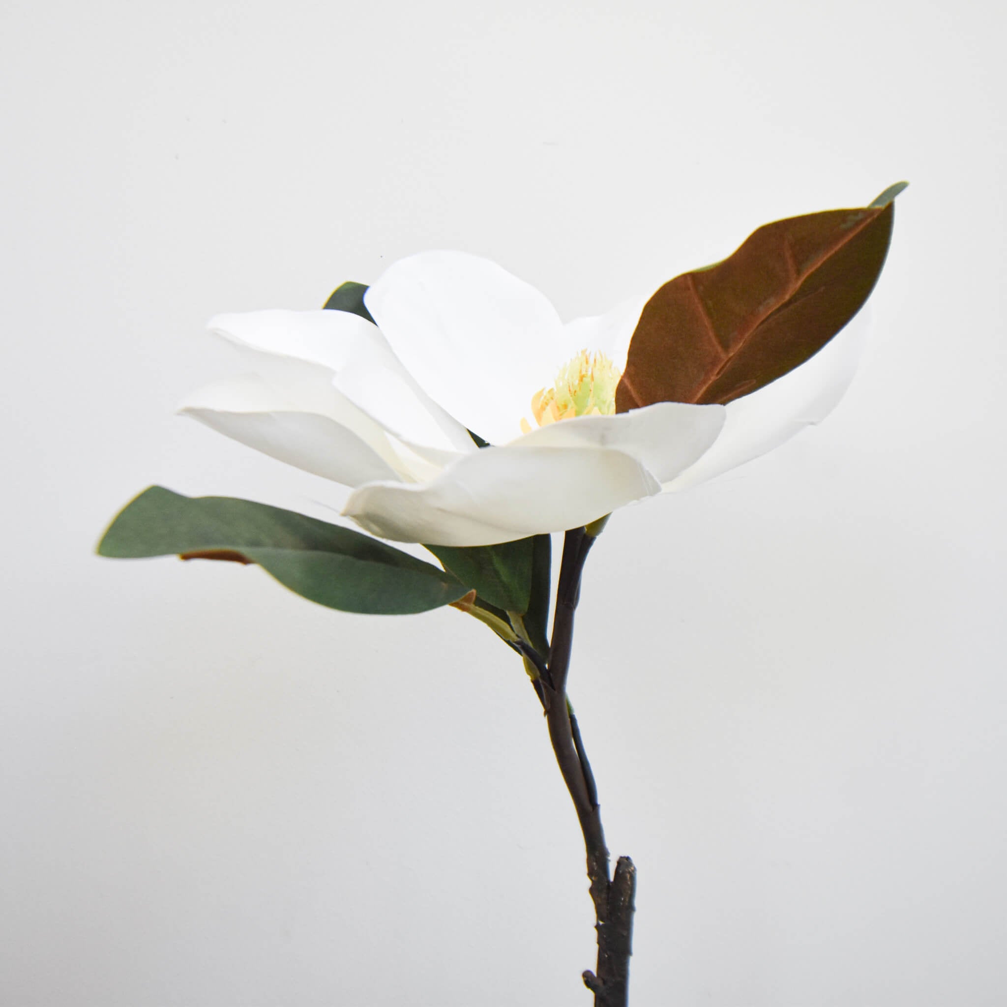 Magnolia White Flower Stem Decorative Extra Large Finn Avenue