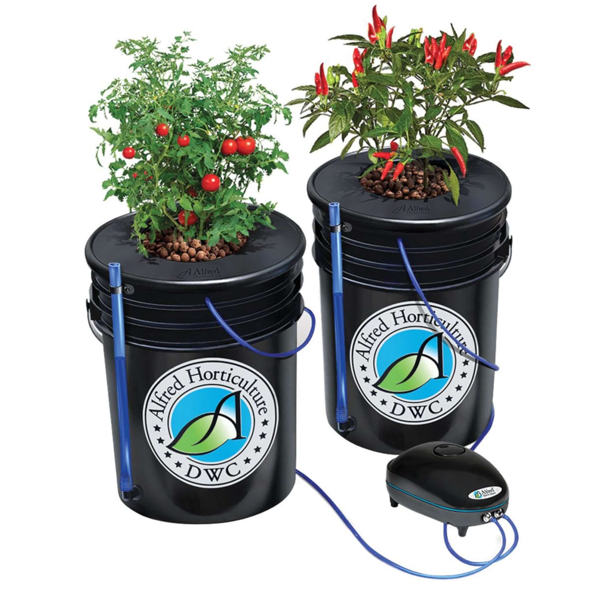 Alfred DWC 2-Plant System